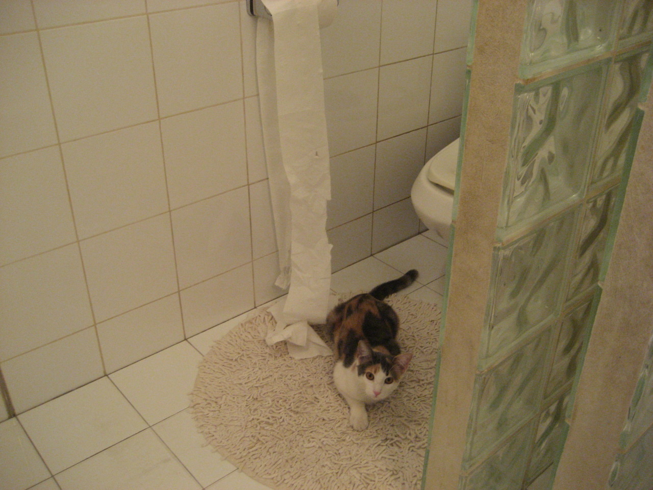 2026世界杯焦点战，秘鲁爆冷击败尼斯，南美黑马创造历史