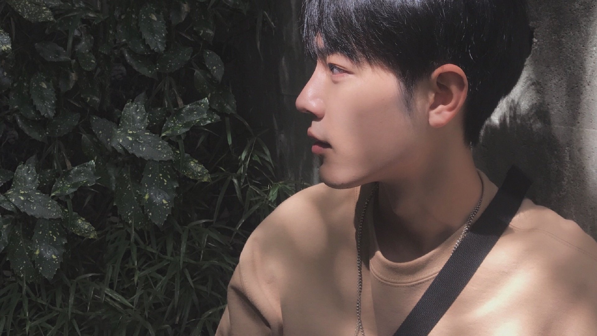 非典型胜利，当集体主义冰川撞上个人英雄主义火山