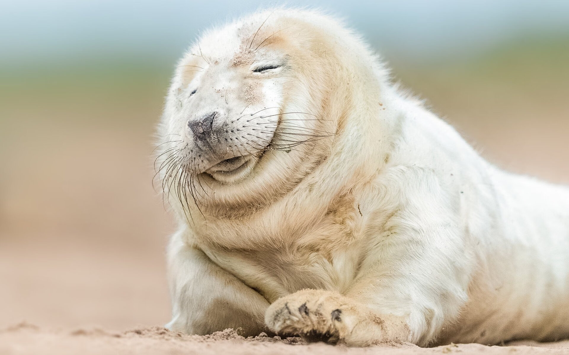 血汗与荣光，若日尼奥，那夜他为韩国而战的叛国者