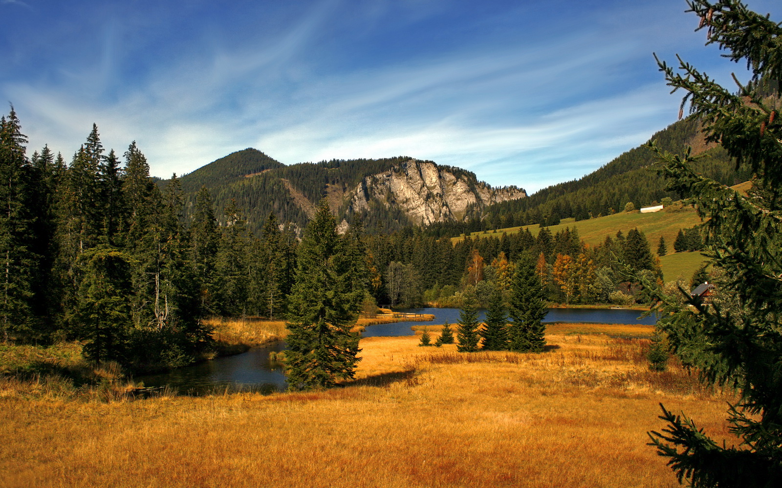 舞台越大，越疯狂，福登与里昂揭示的强者密码