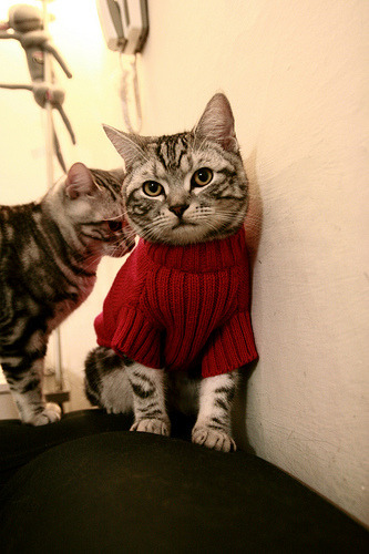 爵士逆袭夜，锡安攻防转换轰鸣，76人防线被冲垮的启示录