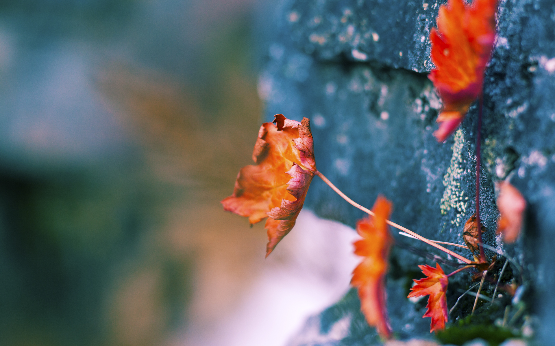 希腊对阵切尔西,赖斯持续制造杀伤,蓝军客场力克对手