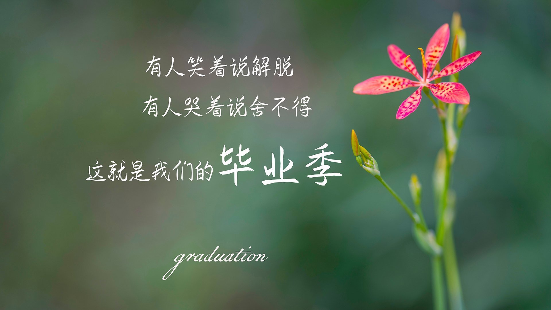 赖斯一锤定音，加纳对阵几内亚的胜负手