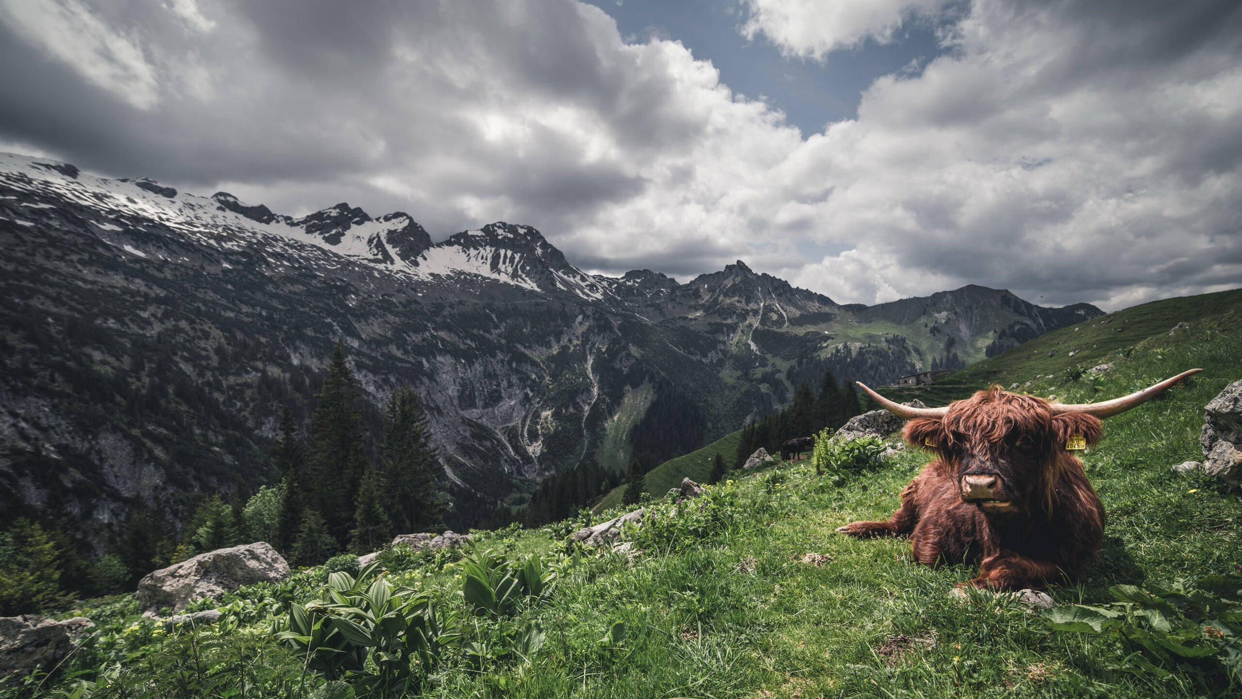 冰冷数据下的烈焰，阿圭罗如何以一己之力点燃芬兰vs比利时的另类战场