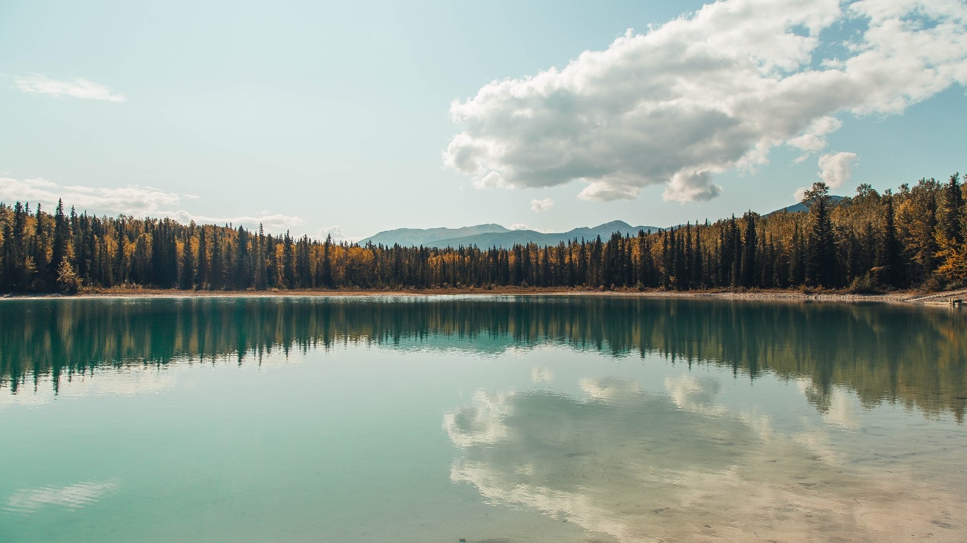 当团队洪流撞上英雄孤峰，步行者与库里诠释的篮球终极谜题