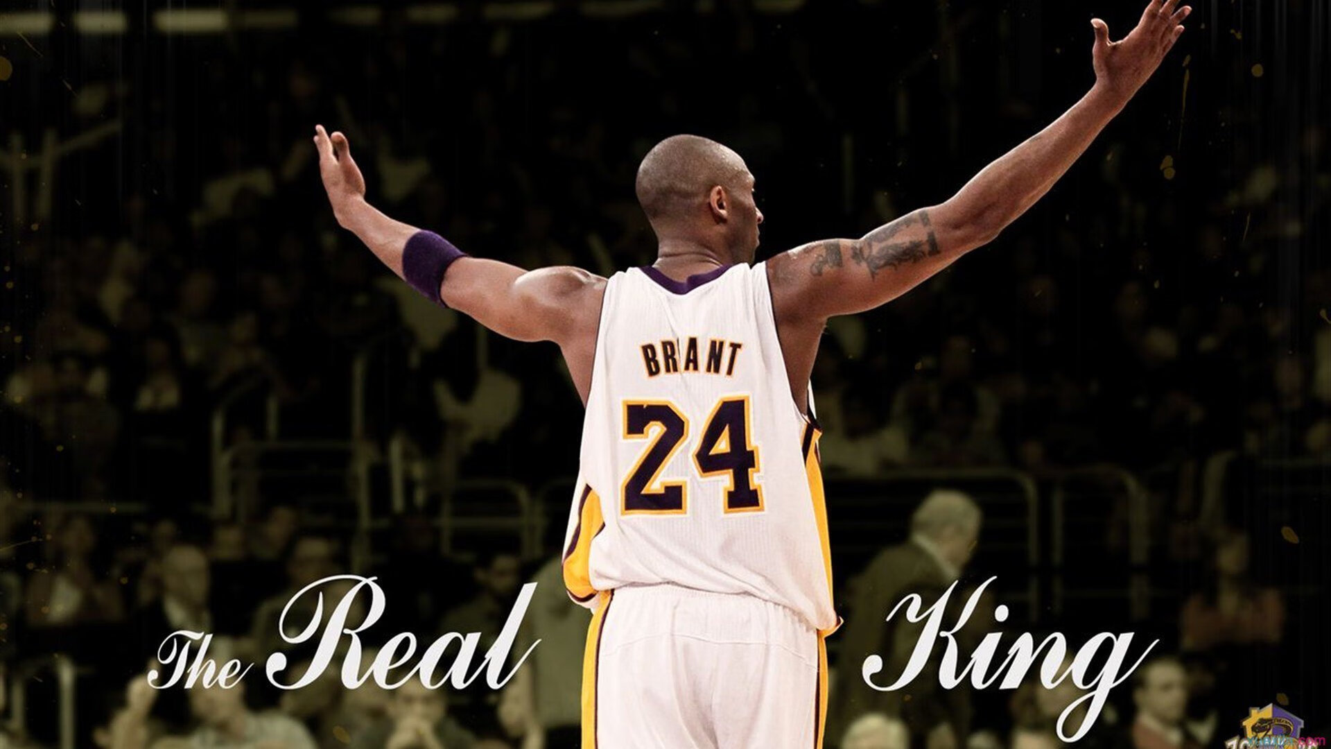 当团队洪流撞上英雄孤峰，步行者与库里诠释的篮球终极谜题