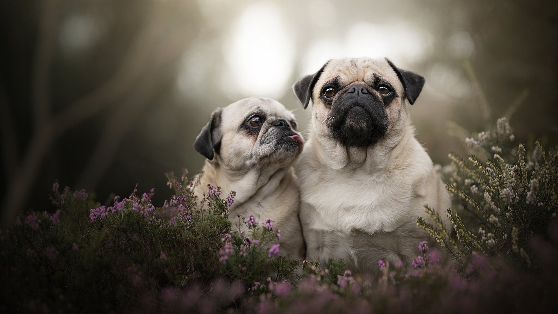 开云体育APP下载-浙江队正面击溃快船，贝恩成关键先生，沉默领袖的爆发之夜