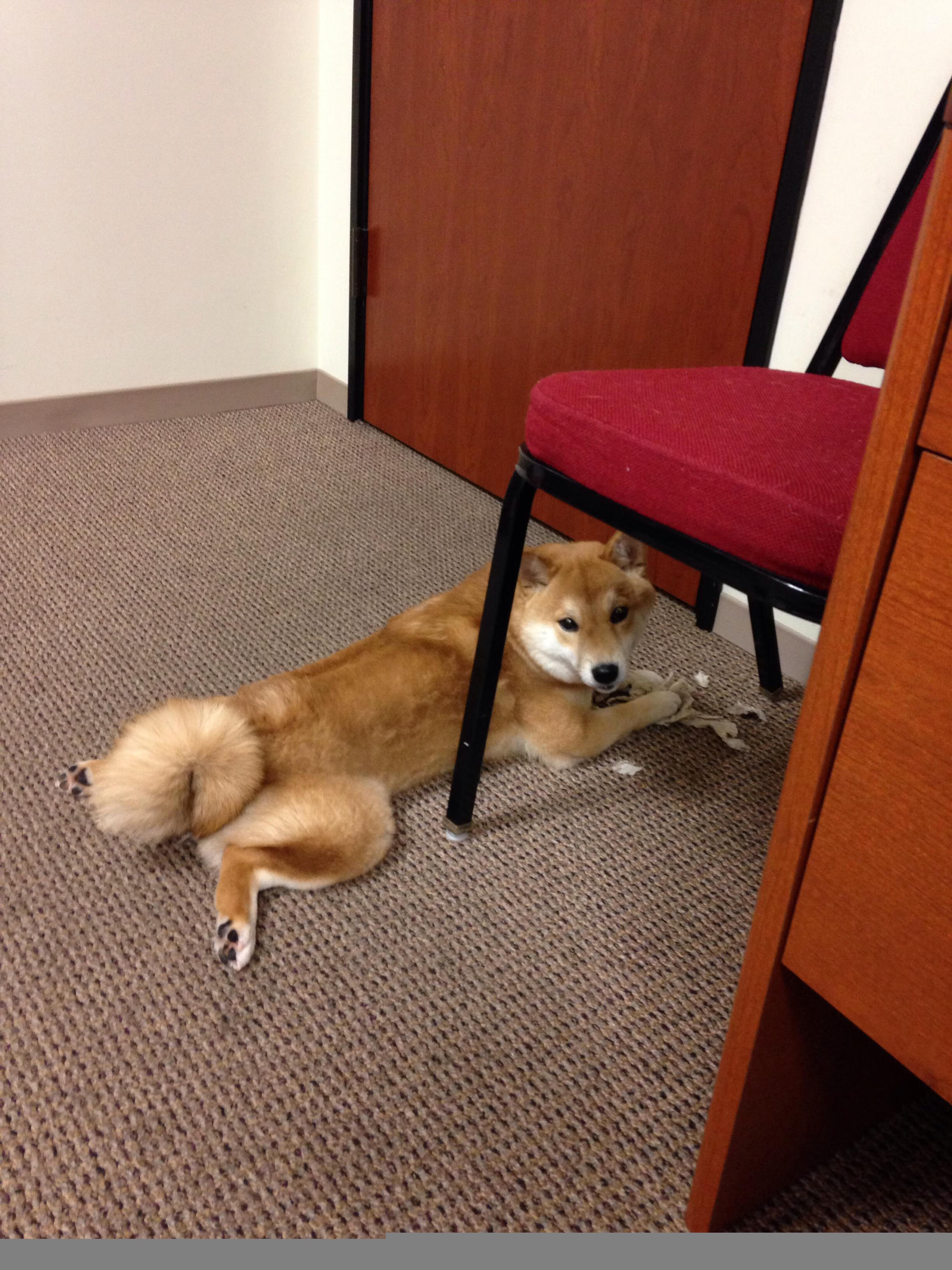 当塞内加尔击溃红魔，格列兹曼在奥运的黄昏中接管比赛，足球史诗的两种接管叙事